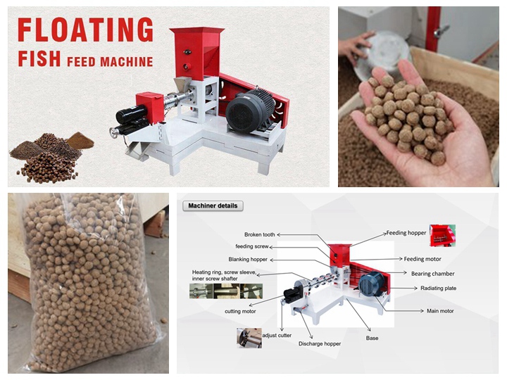 <h3>large-scalelarge scale Baitfish food machine in Zambia-fish feed pellet</h3>
